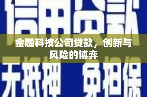 拱墅金融科技公司贷款，创新与风险的博弈