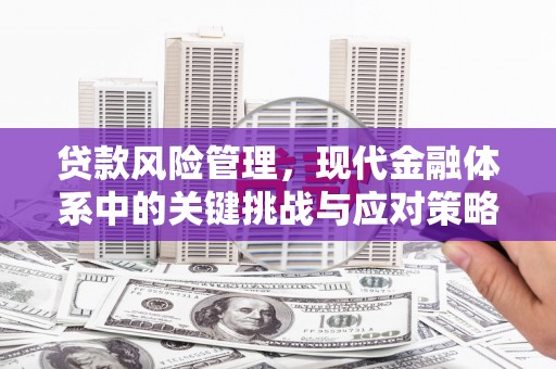 拱墅贷款风险管理，现代金融体系中的关键挑战与应对策略