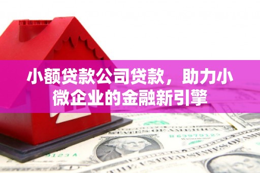 拱墅小额贷款公司贷款，助力小微企业的金融新引擎