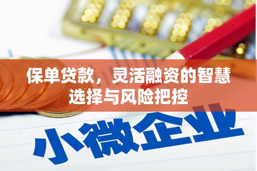 拱墅保单贷款，灵活融资的智慧选择与风险把控