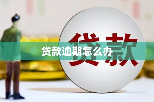 拱墅贷款逾期怎么办