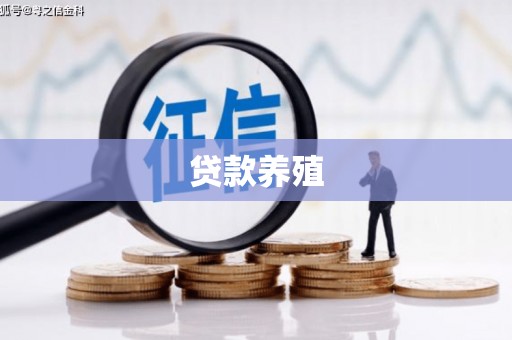 拱墅贷款养殖