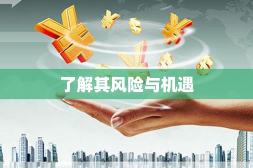 拱墅了解其风险与机遇