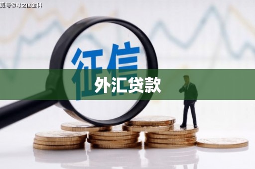 拱墅外汇贷款
