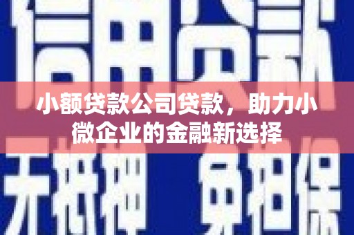 拱墅小额贷款公司贷款，助力小微企业的金融新选择