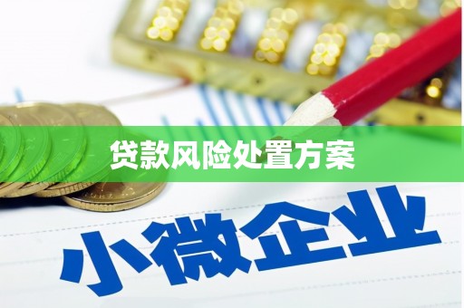 拱墅贷款风险处置方案