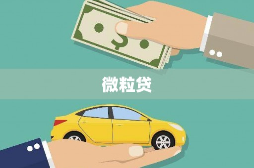 拱墅微粒贷