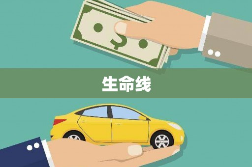 拱墅生命线