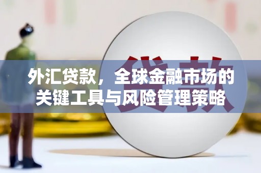拱墅外汇贷款，全球金融市场的关键工具与风险管理策略