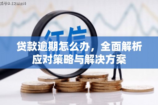 拱墅贷款逾期怎么办，全面解析应对策略与解决方案