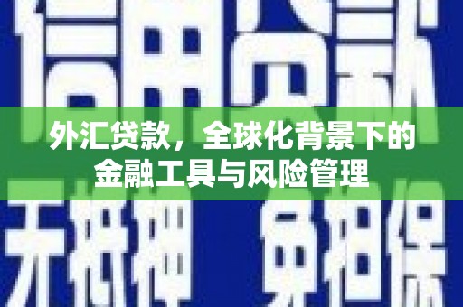 拱墅外汇贷款，全球化背景下的金融工具与风险管理