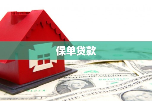 拱墅保单贷款 拱墅保单贷款